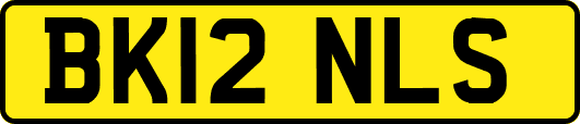 BK12NLS