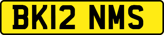 BK12NMS