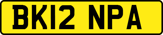 BK12NPA