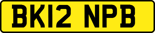 BK12NPB