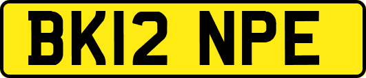 BK12NPE
