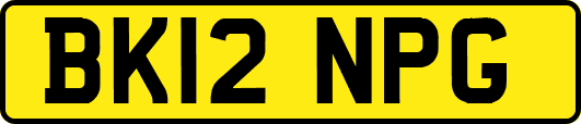BK12NPG