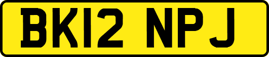 BK12NPJ