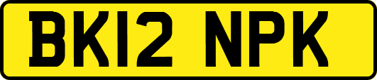 BK12NPK