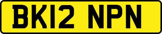 BK12NPN