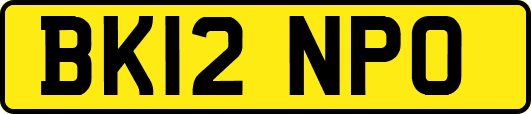 BK12NPO