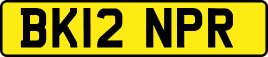 BK12NPR