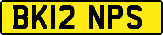 BK12NPS