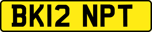 BK12NPT