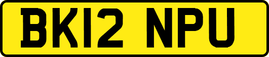 BK12NPU