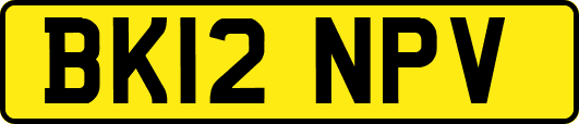 BK12NPV