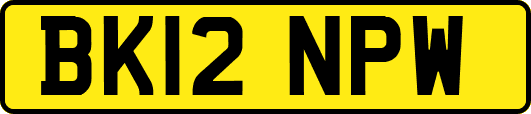 BK12NPW