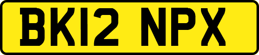 BK12NPX