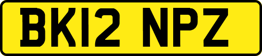 BK12NPZ