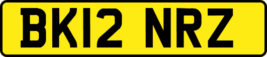 BK12NRZ