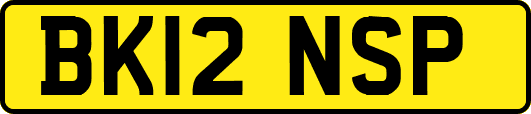 BK12NSP