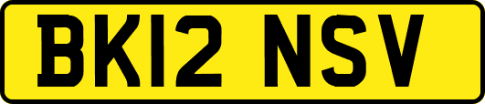 BK12NSV