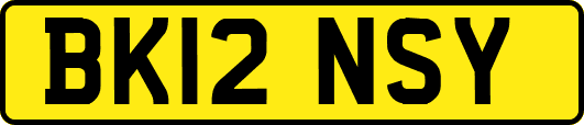 BK12NSY