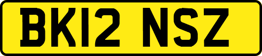 BK12NSZ