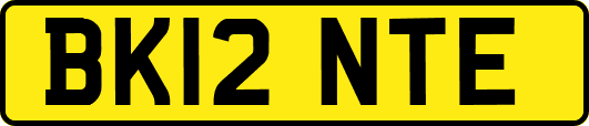 BK12NTE