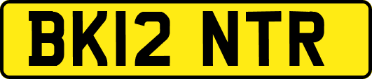 BK12NTR