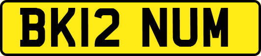 BK12NUM