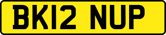 BK12NUP
