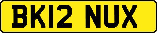 BK12NUX