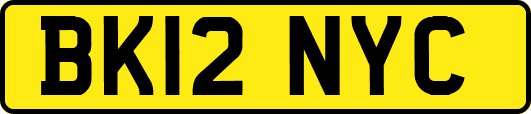 BK12NYC