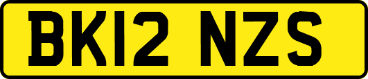 BK12NZS