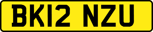 BK12NZU