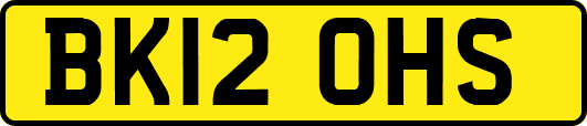BK12OHS