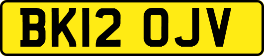 BK12OJV