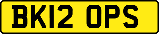 BK12OPS