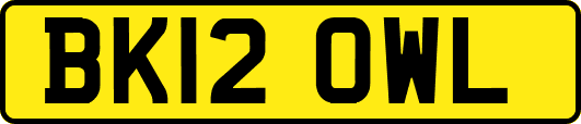 BK12OWL