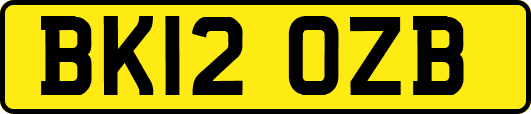BK12OZB