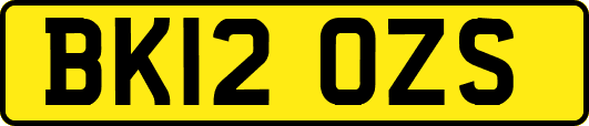 BK12OZS