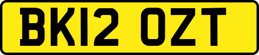 BK12OZT