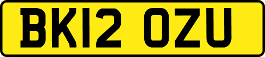 BK12OZU