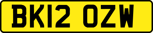 BK12OZW