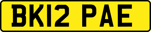 BK12PAE