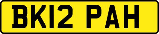 BK12PAH
