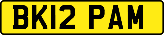 BK12PAM