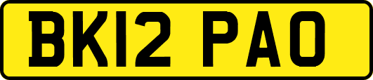 BK12PAO