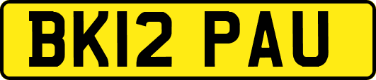 BK12PAU