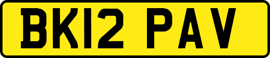 BK12PAV
