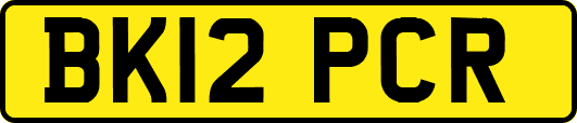 BK12PCR