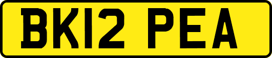 BK12PEA