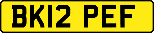 BK12PEF