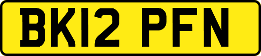 BK12PFN